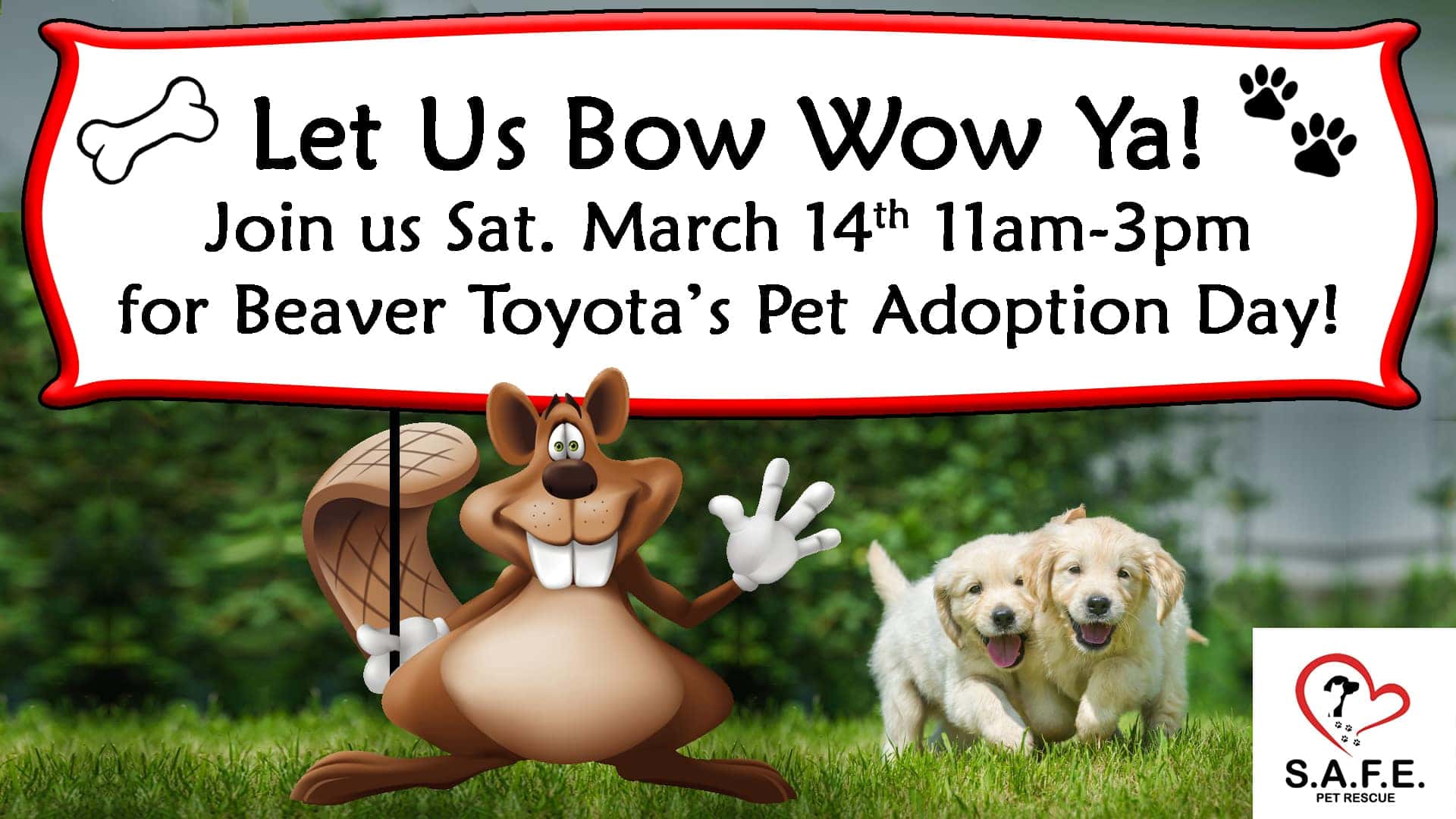 S A F E Pet Rescue Beaver Toyota Wow Partner