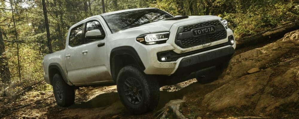 2021 Toyota Tacoma MPG Beaver Toyota St Augustine