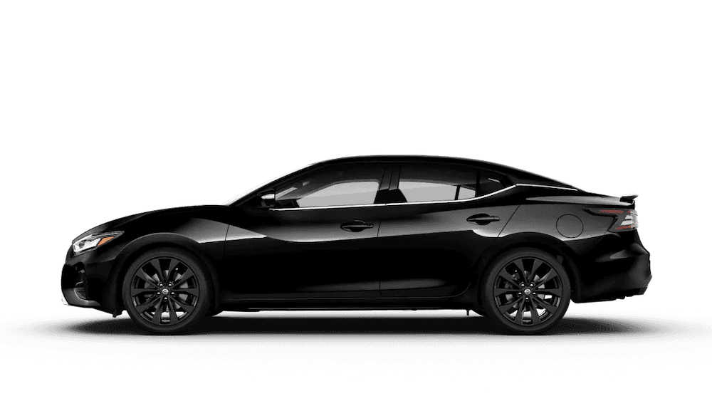 2019 Maxima SR