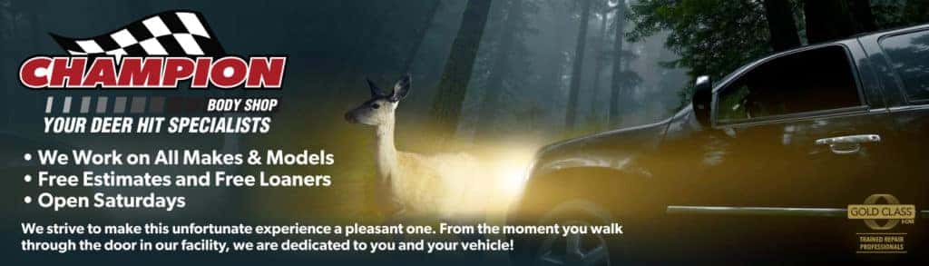 Champion Auto Group Body Shops Located In Michigan