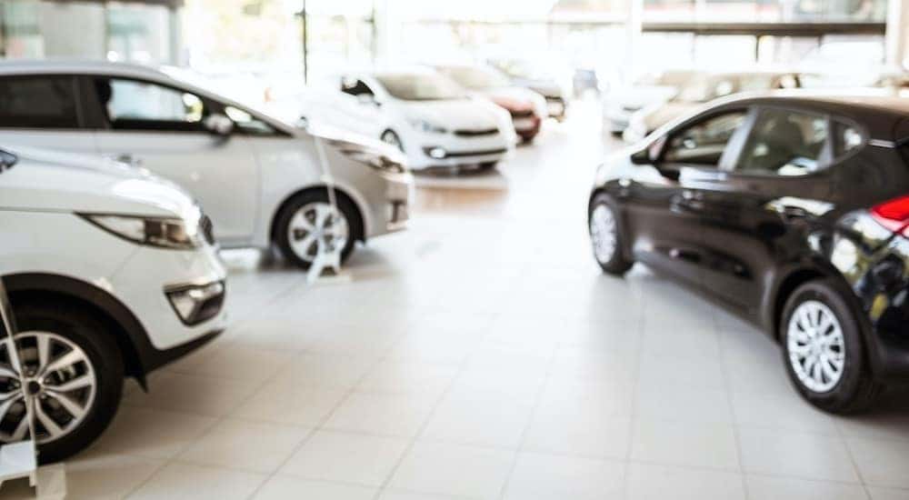 A blurred image shows a room full of cars at a Louisville used car dealer.