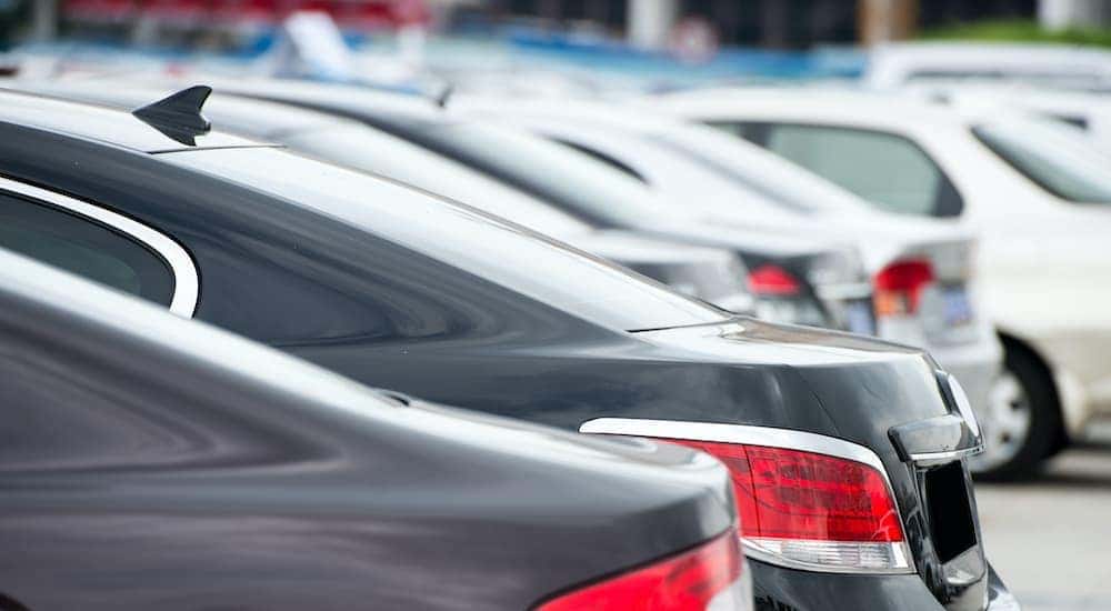 The rear end of used cars for sale are shown parked in a lot.