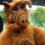 Greatest Question Never Answered: Could Alf Drive?