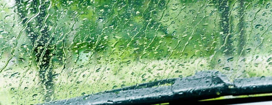 Windshield Wipers | Dave Arbogast