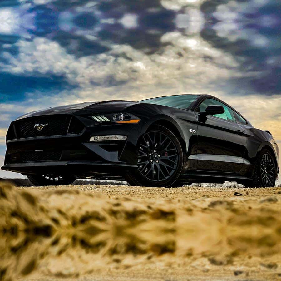 black mustang cars