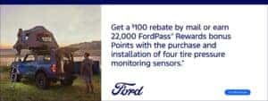 $100 Rebate at DeNooyer Ford in Vicksburg, MI
