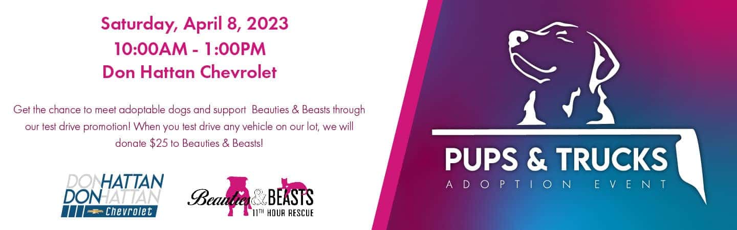 Pups & Trucks Adoption Event Get the chance to meet adoptable dogs and support Beauties & Beasts through our test drive promotion! When you test drive any vehicle on our lot, we will donate $25 to Beauties & Beasts! Saturday, April 8, 2023 10:00AM-1:00PM Don Hattan Chevrolet
