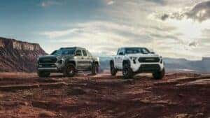 two toyota tacoma trucks on a mountain