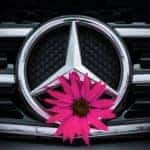 Mercedes Symbol With Pink Flower