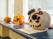 2017 Halloween Pumpkin Carving Contest 2017 Halloween Pumpkin Carving Contest