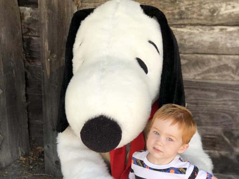 Knott's Employee Appreciation 2018