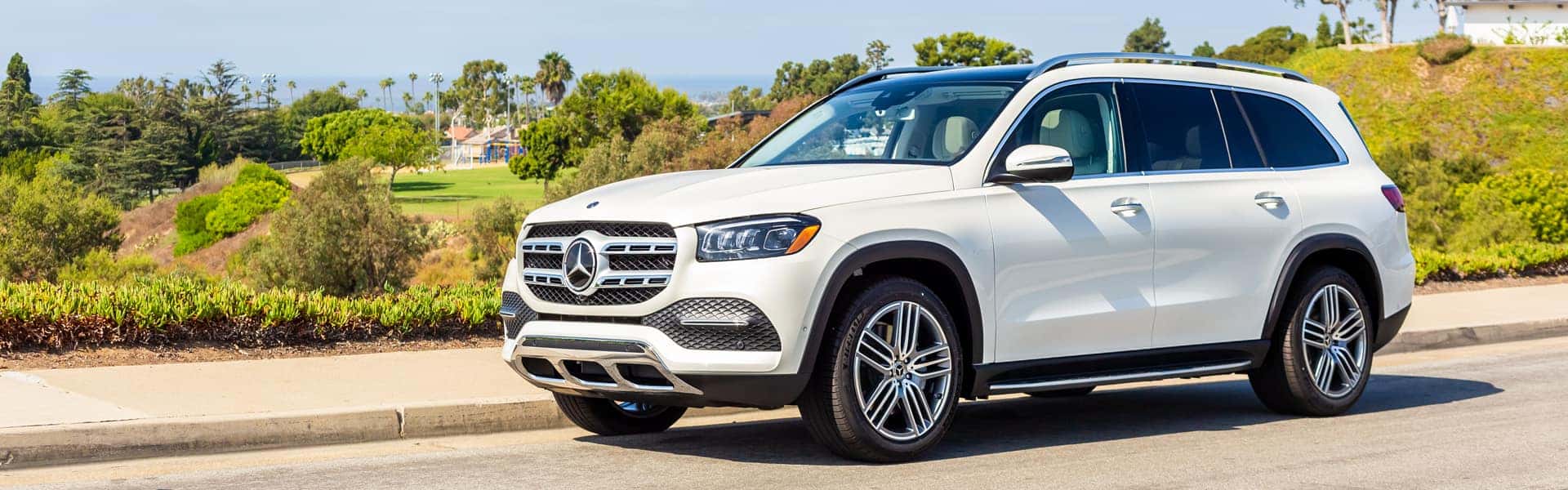 2020 Mercedes-Benz GLS Performance