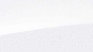 polar-white