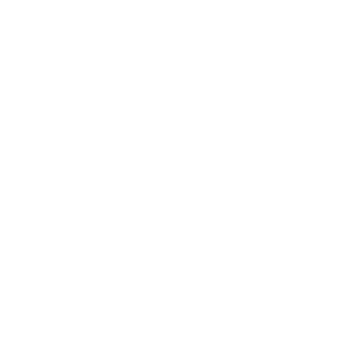 chat icon
