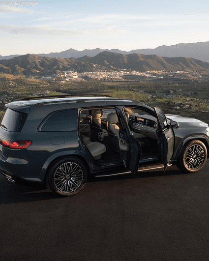 Rear Passenger Protection