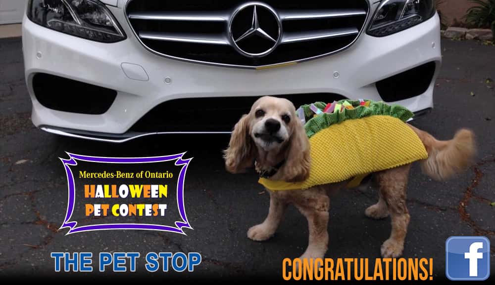 Ontario Haloween Contest Winner