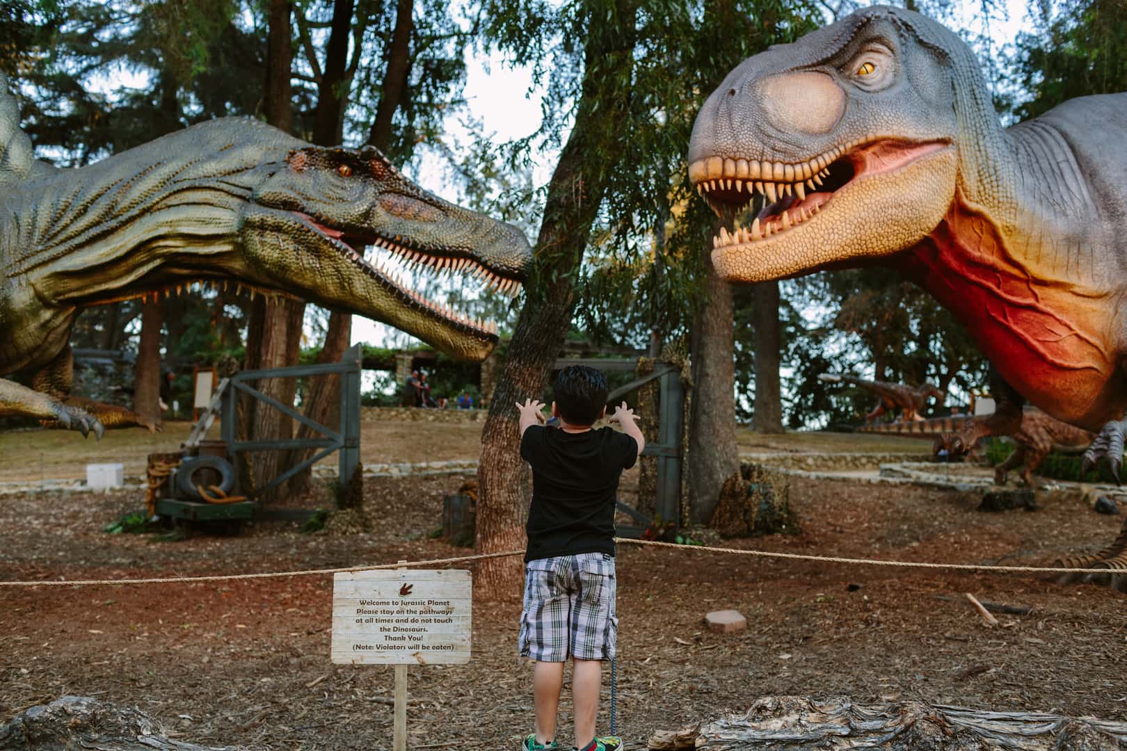 Kid with Dinosaur