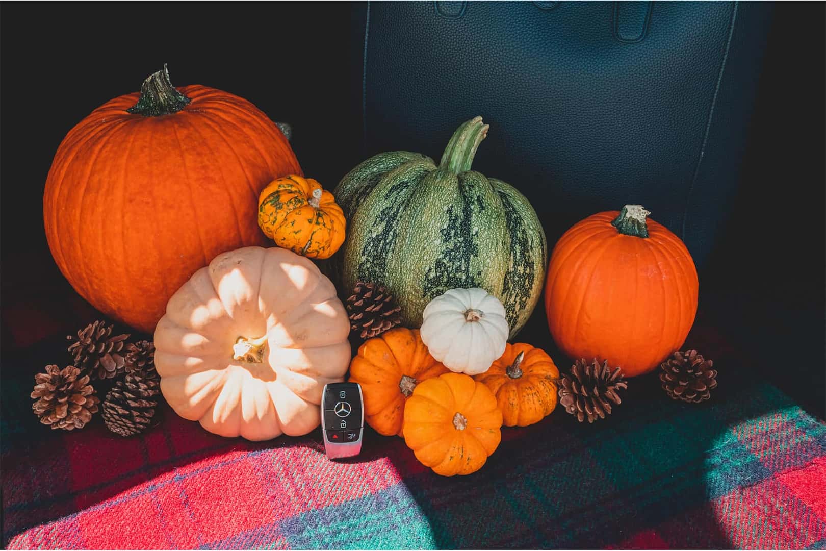 Pumpkin Patches Near Fremont, CA Fletcher Jones Motorcars of Fremont