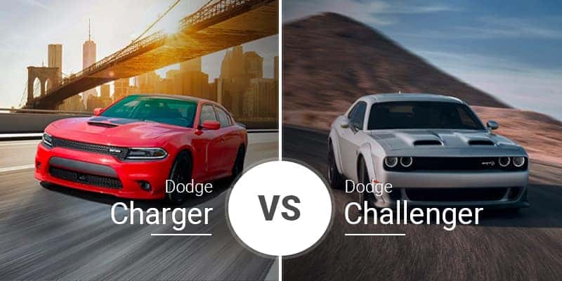 all dodge chargers