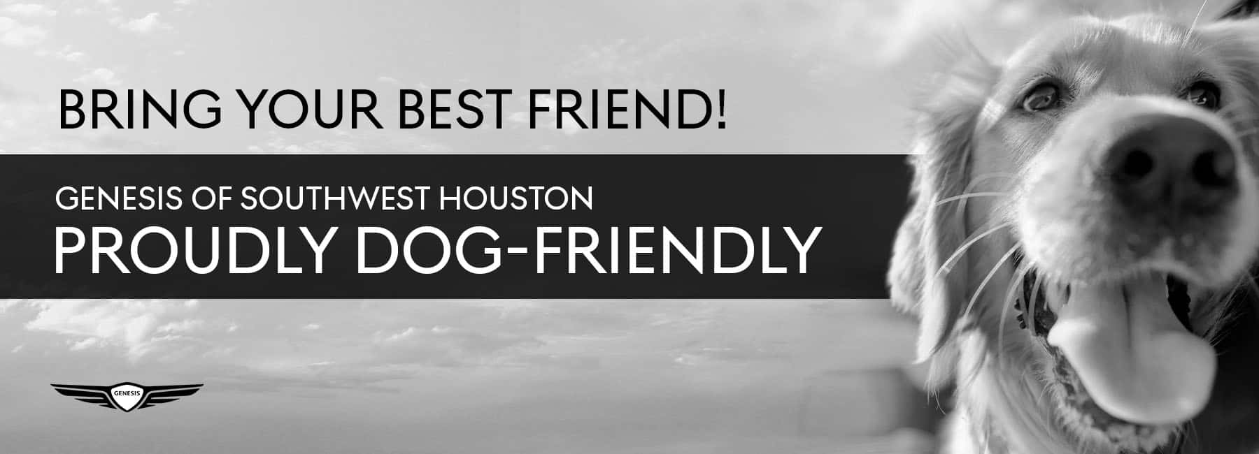 Dog Friendly Dealer Houston