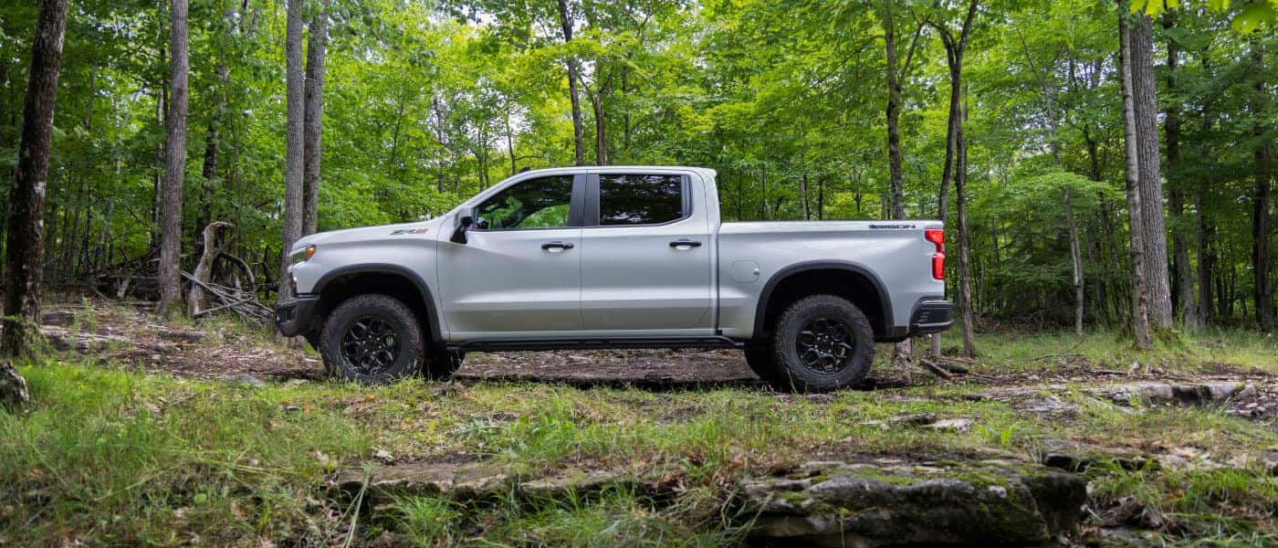 2024 Chevy Silverado 1500 exterior inside forest