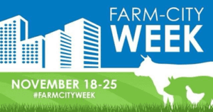 City Week Food Drive FL