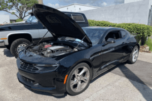 Ric Rausch Car Show