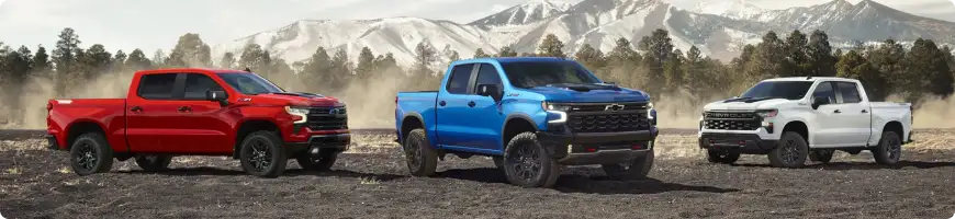 Chevrolet Silverado 1500 trim options