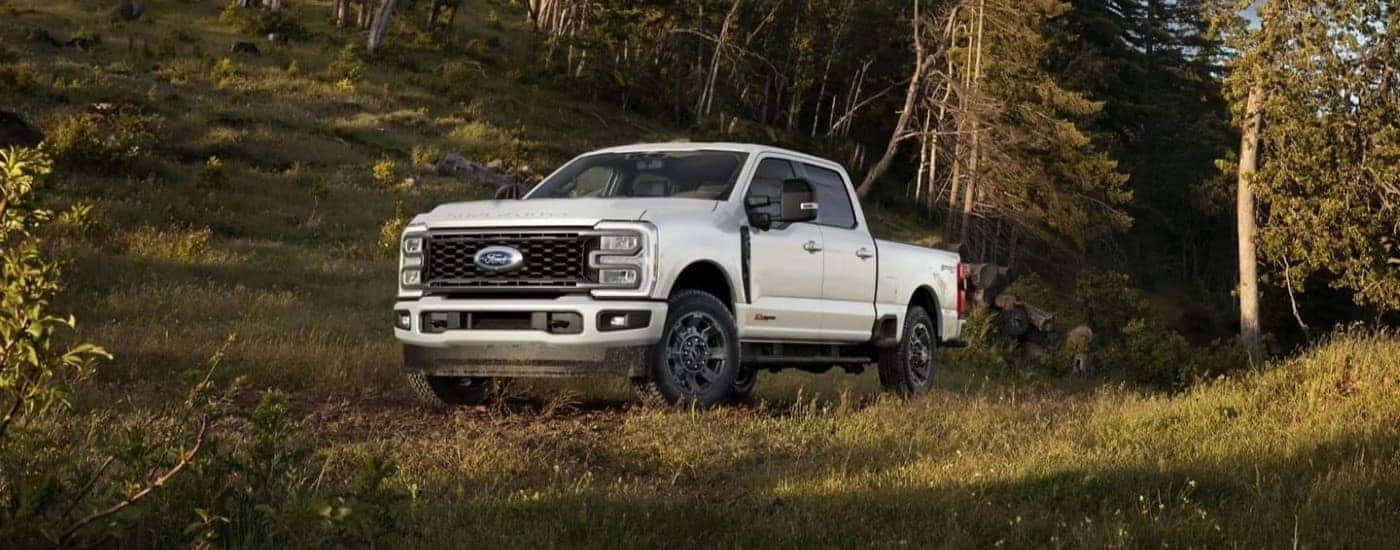A white 2024 Ford F-350 Lariat parked off-road in the forest