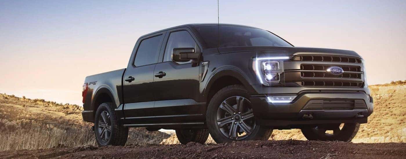 A black 2023 Ford F-150 parked offroad.
