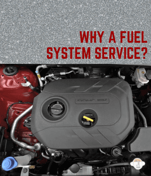 fuel system
