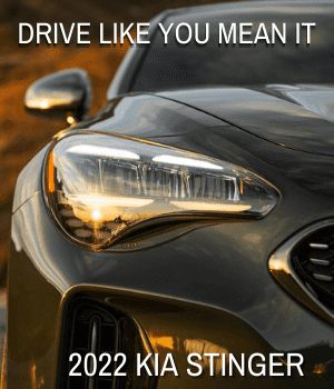 stinger