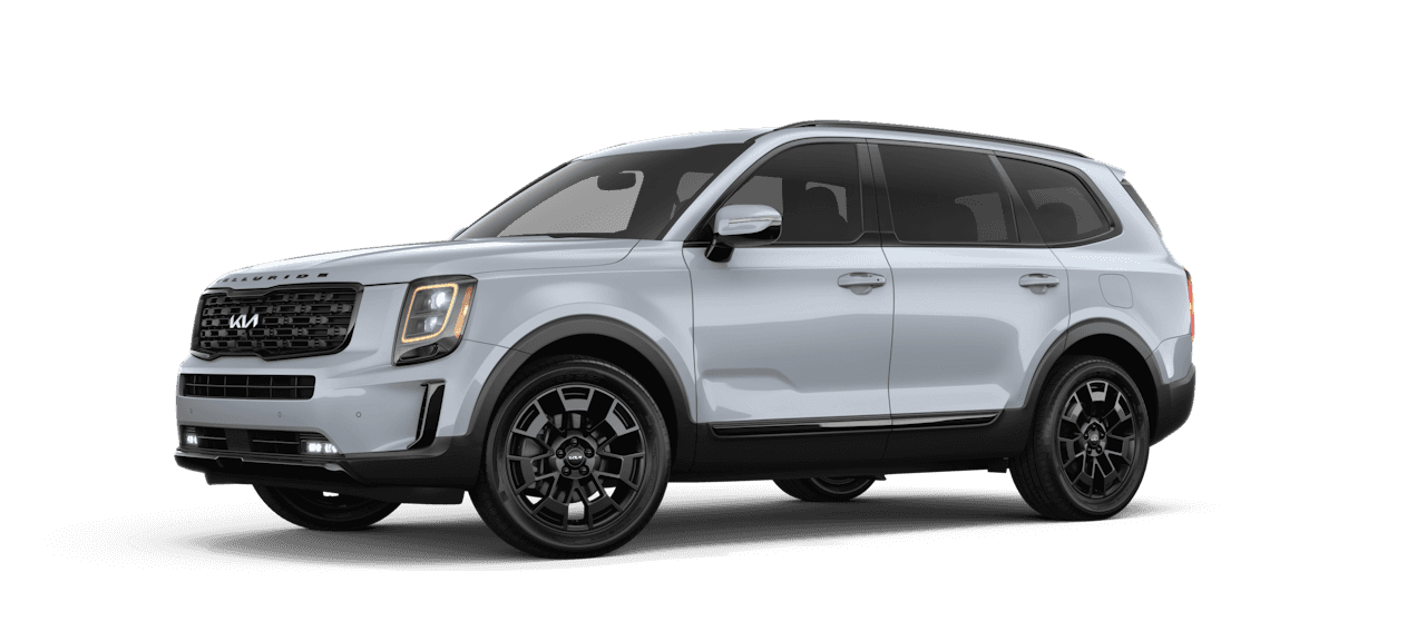Wolf Gray