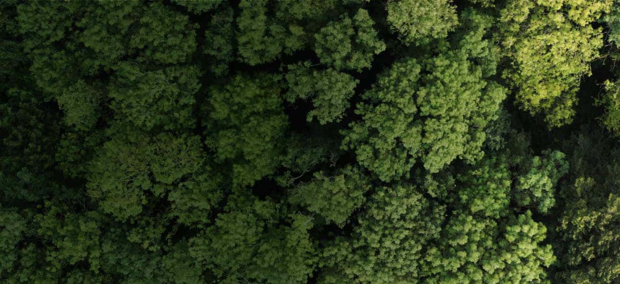Cadillac EVs Sustainability