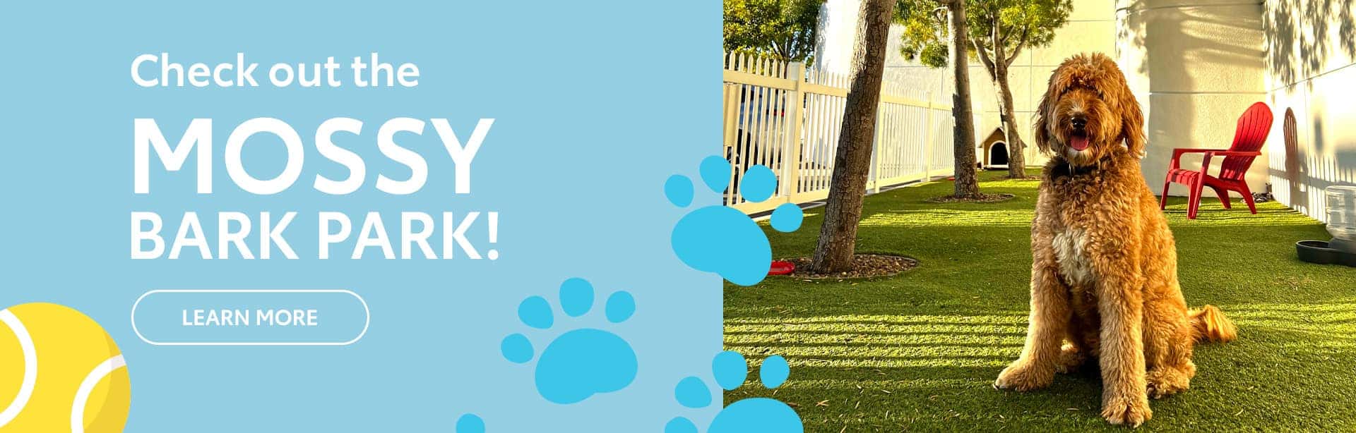 Check out the Mossy Toyota Dog Park!