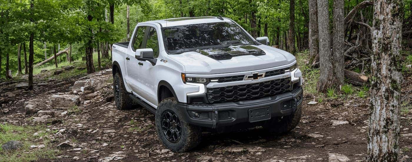 A white 2024 Chevy Silverado 1500 ZR2 Bison is shown off-roading after leaving a Spring Hill Chevy dealer.
