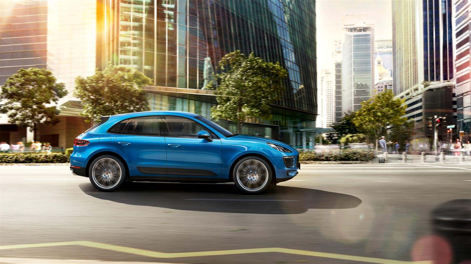 Macan