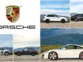 Which Porsche Best Describes You?