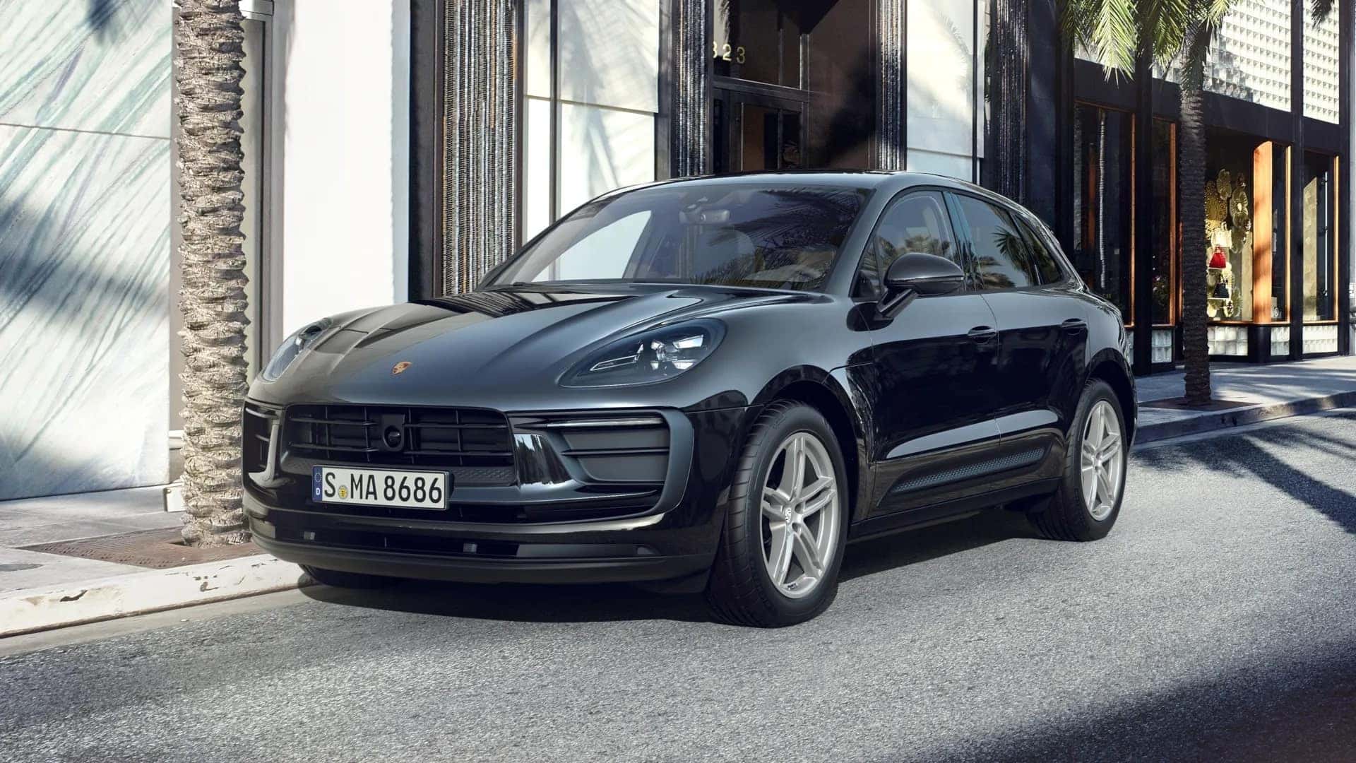 Macan in Black