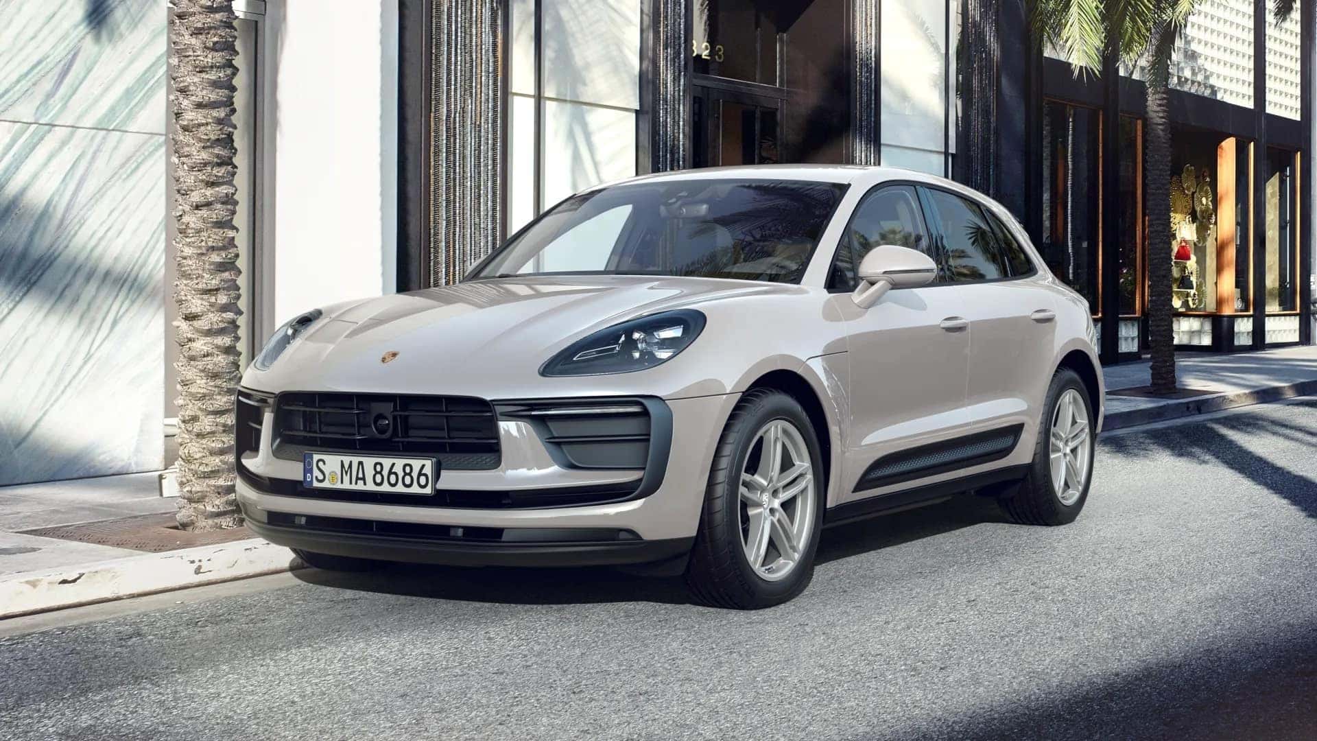 Macan in Chalk
