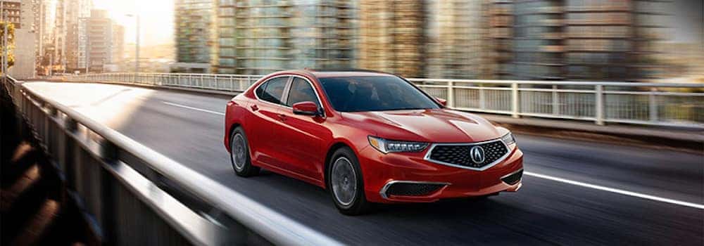 2019 Acura Tlx Interior Features Rallye Acura