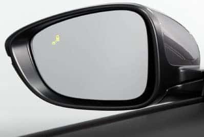 Blind Spot Information
