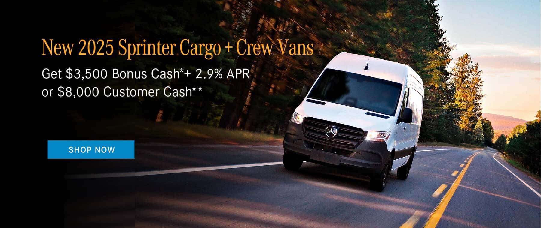 Sprinter Customer Cash