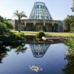 The San Antonio Botanical Garden is a 38-acre museum and a conservation facility you need to visit. Find out why you need to see this beautiful attraction.