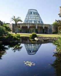 The San Antonio Botanical Garden is a 38-acre museum and a conservation facility you need to visit. Find out why you need to see this beautiful attraction.