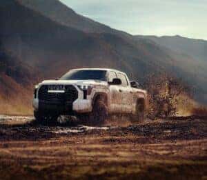 Dirty truck