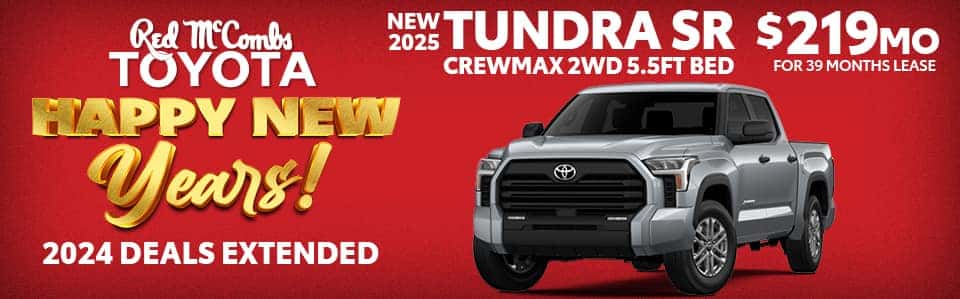 Happy New Year - Tundra