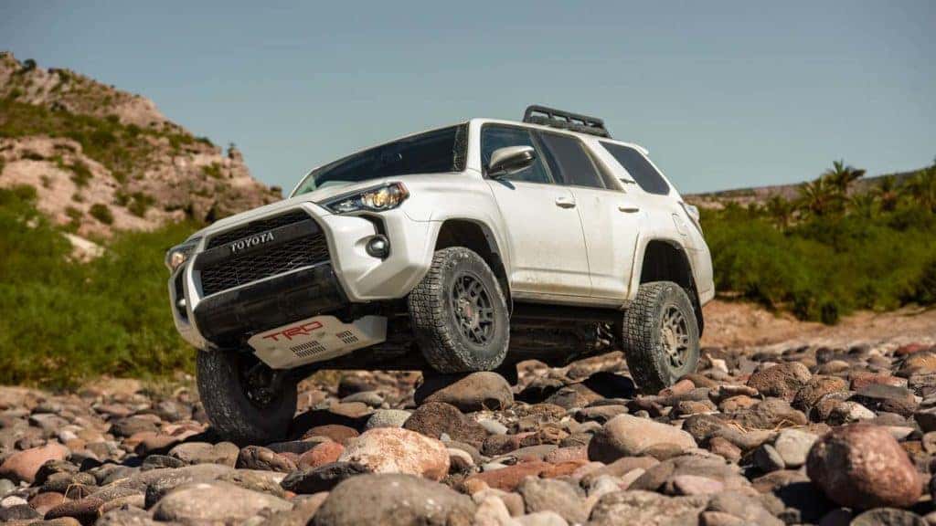 2019 Toyota 4Runner White on Mountain