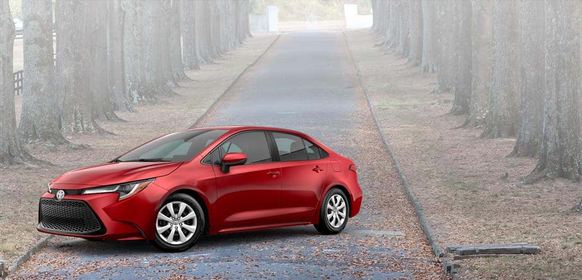 Corolla Banner