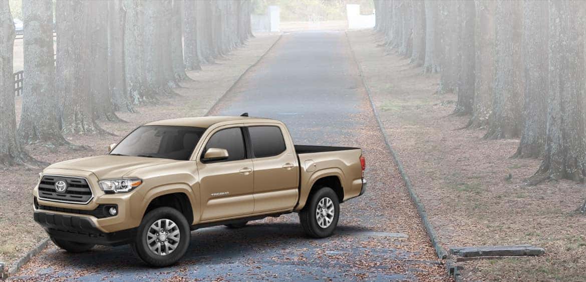 2019 Tacoma Banner